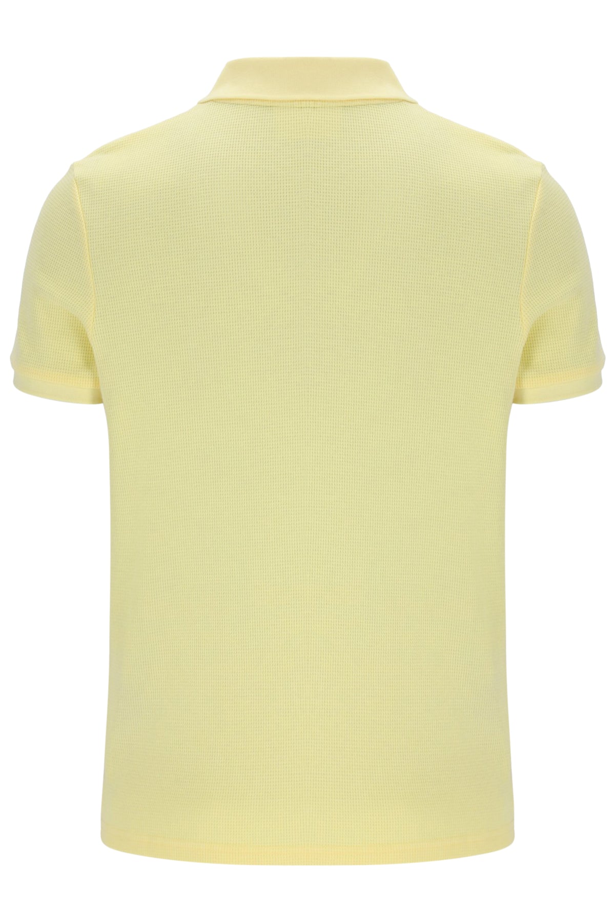 Popcorn Benjamin Micro Waffle Polo