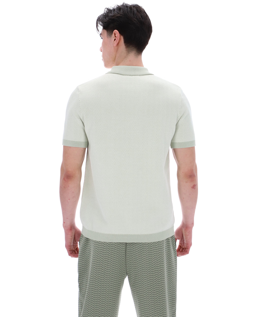 Man wearing a light green polo shirt and pants on a white background