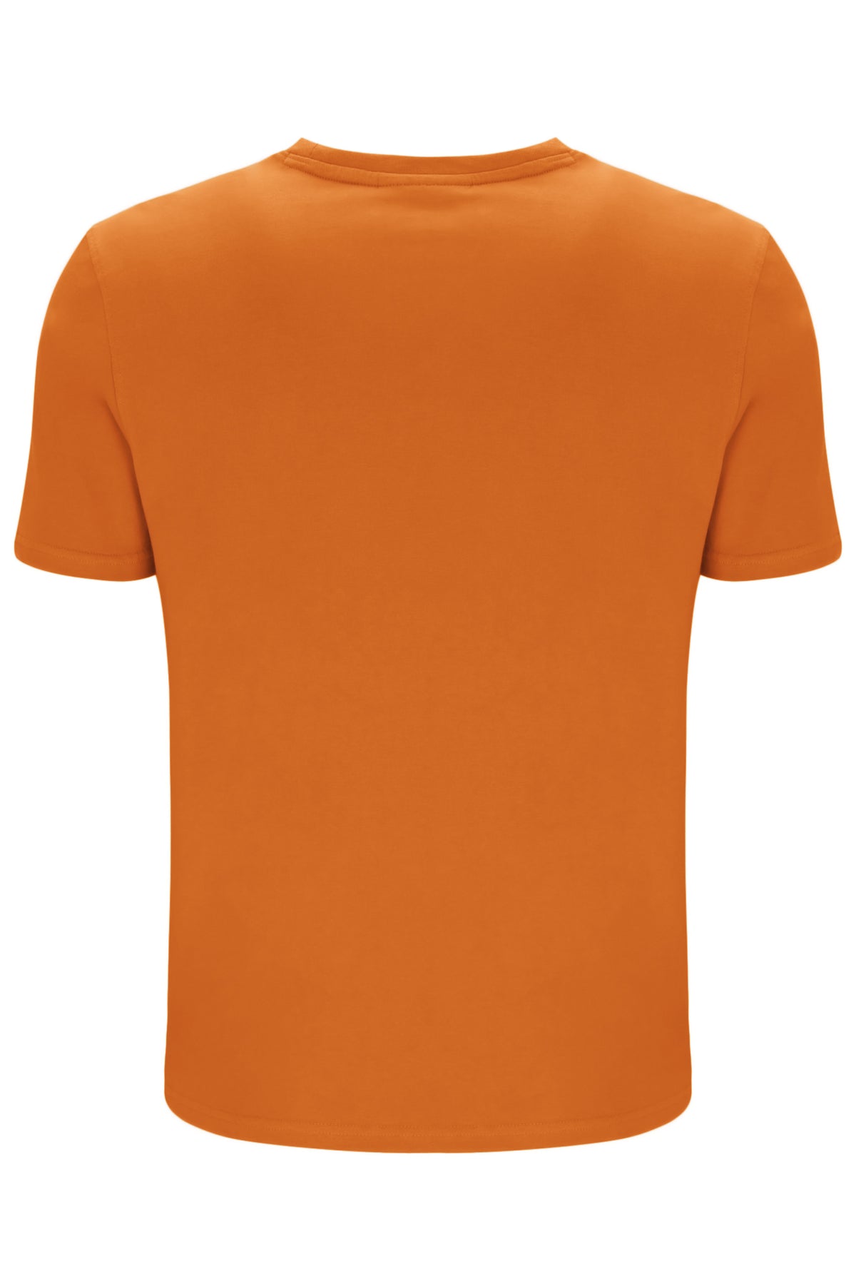 Pumpkin Spice Sunny Essential T-Shirt
