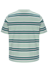 Green and white striped t-shirt on a white background