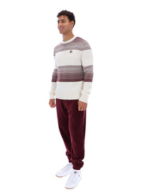 Man wearing a striped sweater and burgundy pants on a white background