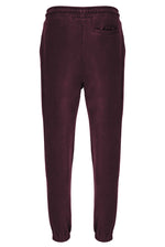 Eddie Velour Track Pant