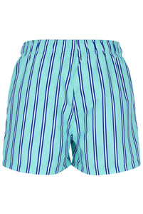 Parsa Stripe Printed Swim Shorts